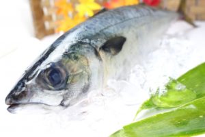 【魚漢字クイズ】クイズ!!氷下魚って何て読む?ヒントは北海道の魚だよ