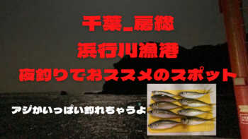 釣り場 千葉 房総 浜行川漁港 夜釣りでおススメのスポット フィッシュオブジャパン